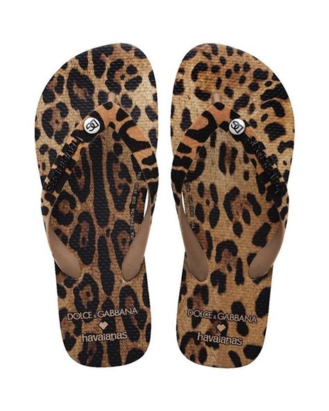 havaianas dolce gabbana leopard|dolce and gabbana sandals.